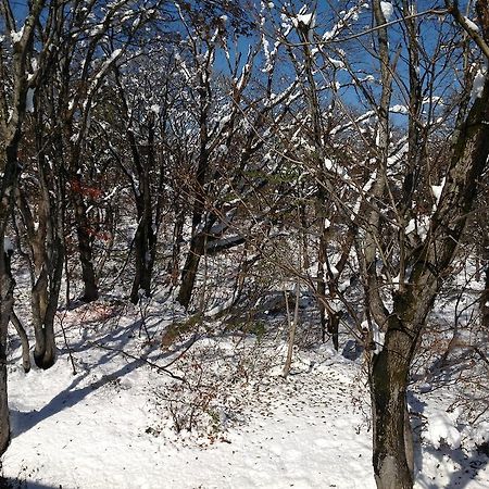 Myoko Kogen Pension Yamasan المظهر الخارجي الصورة