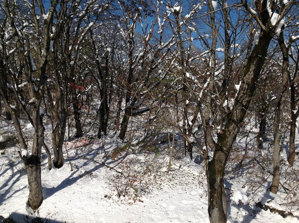 Myoko Kogen Pension Yamasan المظهر الخارجي الصورة