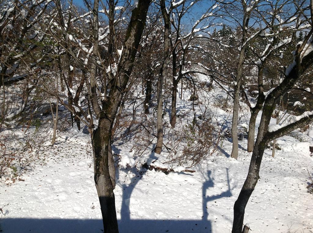Myoko Kogen Pension Yamasan المظهر الخارجي الصورة
